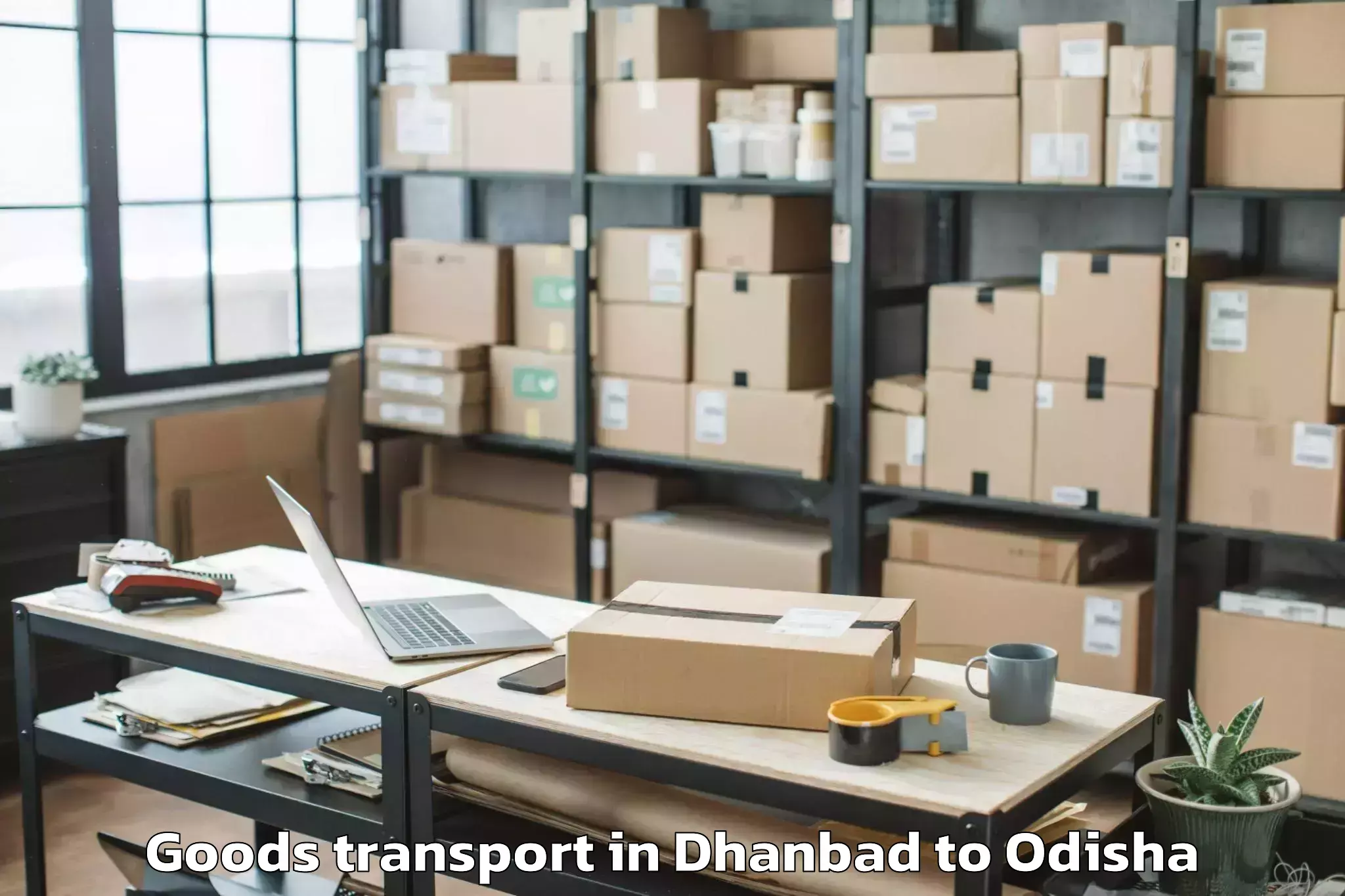 Quality Dhanbad to Komna Goods Transport